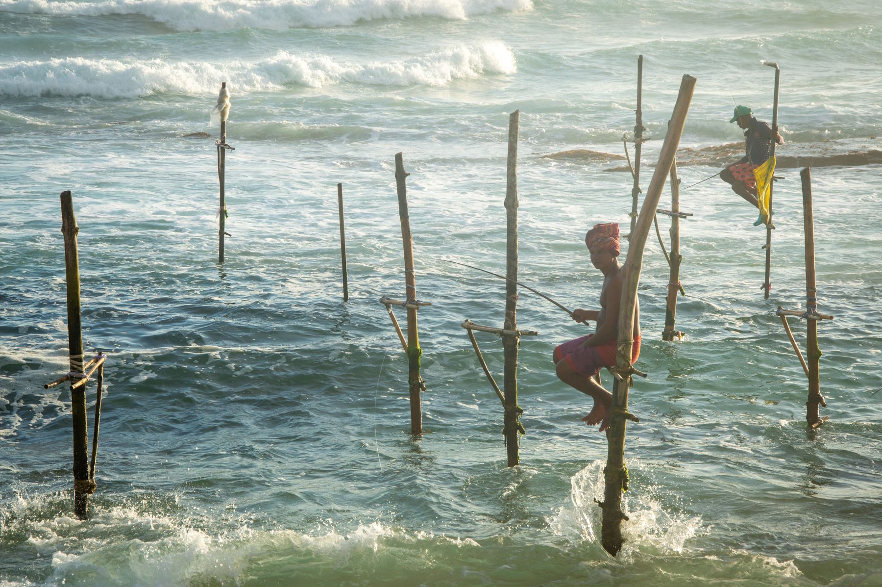 Stilt fishermen on Sri Lanka's south coast at sunset