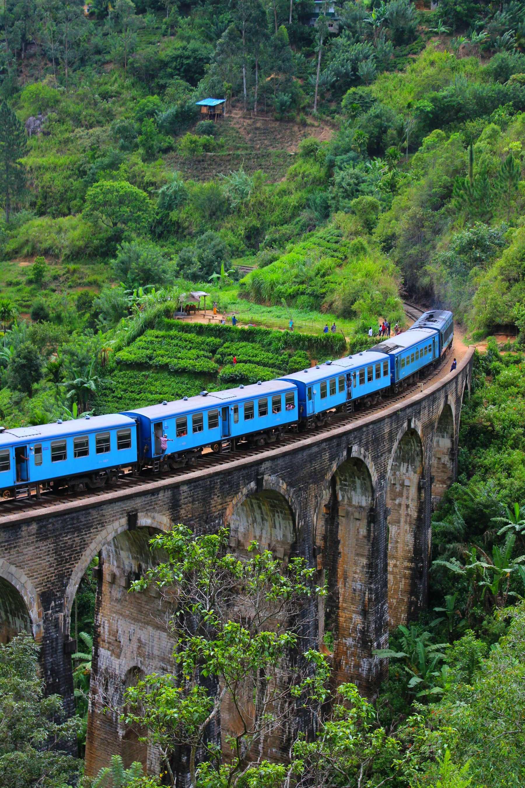 Sri Lanka's blue train crossing the Nine Arch Bridge through green tea hills