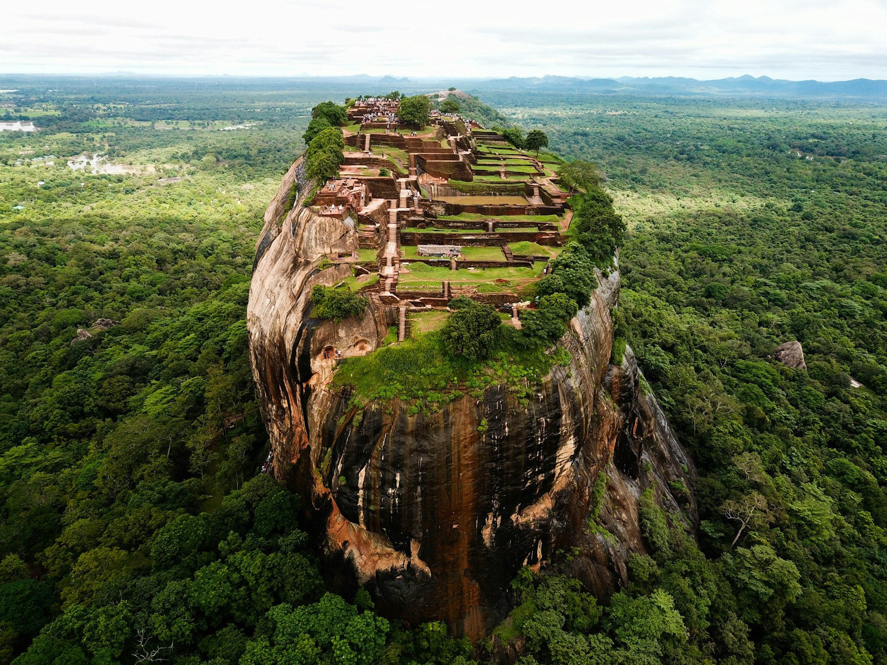 Sigiriya Lion Rock fortress rising from the jungle