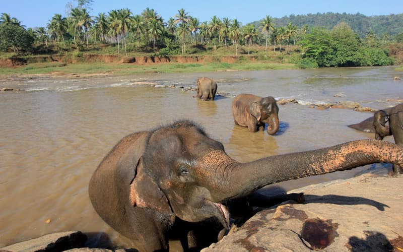 Block 1 Safari Routes